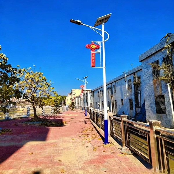 Hunan Changde 1120 LED Solar-Powered Street Lamps Installation Project