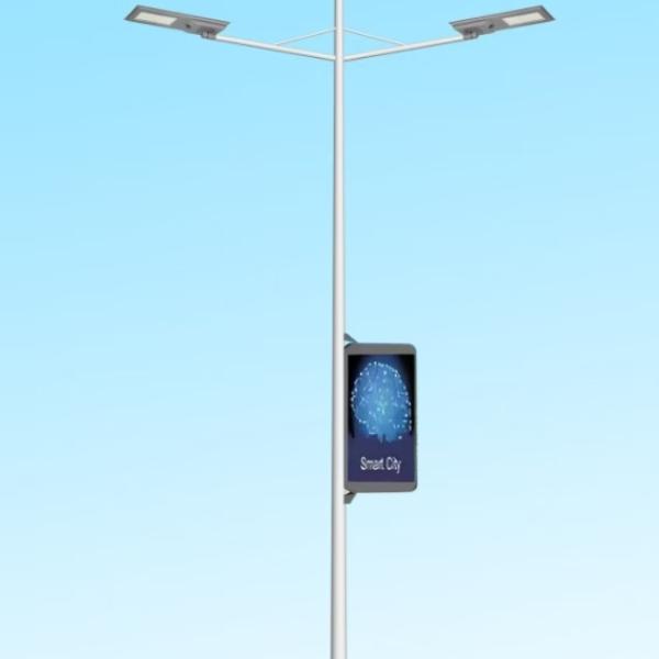 Kenya 12-meter smart solar street light project