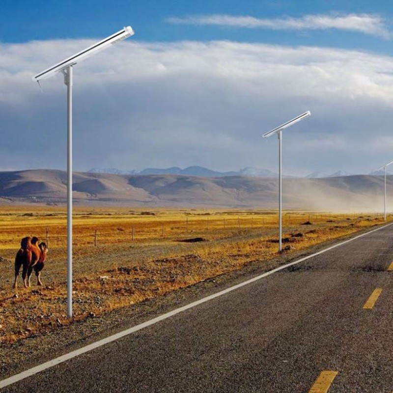 Gansu Province's green energy transition: 526 solar streetlights project successfully delivered