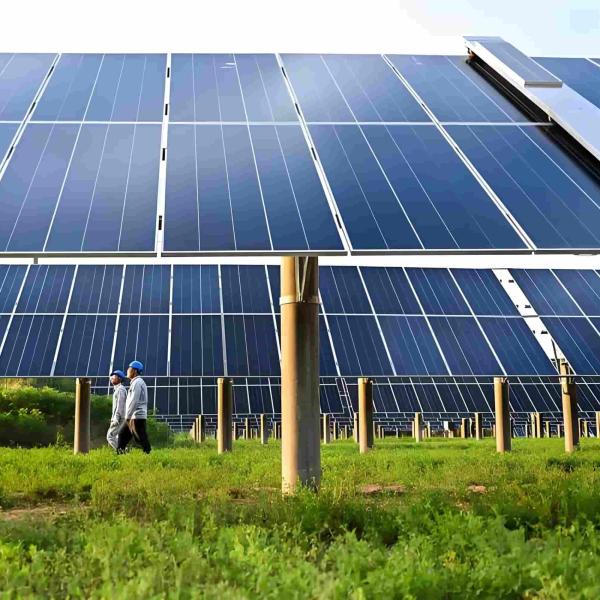 Utility-Scale Solar Panel Selection & Procurement Guide for 100MW PV Projects (2026 Practical Edition)